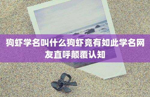 狗虾学名叫什么狗虾竟有如此学名网友直呼颠覆认知