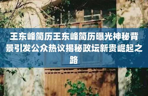 王东峰简历王东峰简历曝光神秘背景引发公众热议揭秘政坛新贵崛起之路