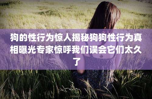 狗的性行为惊人揭秘狗狗性行为真相曝光专家惊呼我们误会它们太久了