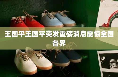 王国平王国平突发重磅消息震惊全国各界