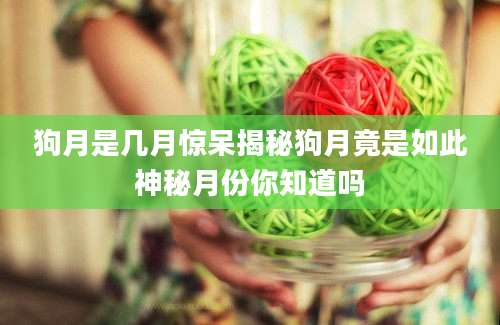 狗月是几月惊呆揭秘狗月竟是如此神秘月份你知道吗