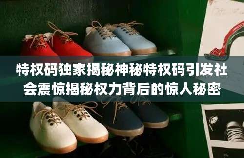 特权码独家揭秘神秘特权码引发社会震惊揭秘权力背后的惊人秘密