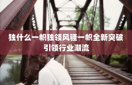 独什么一帜独领风骚一帜全新突破引领行业潮流
