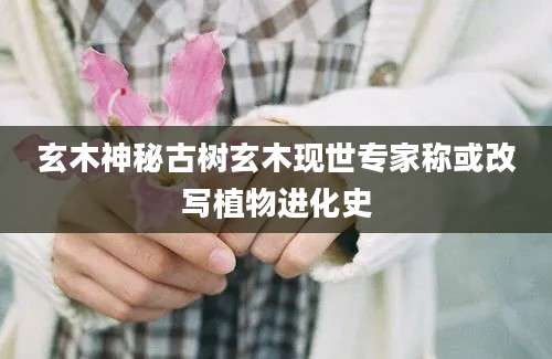 玄木神秘古树玄木现世专家称或改写植物进化史