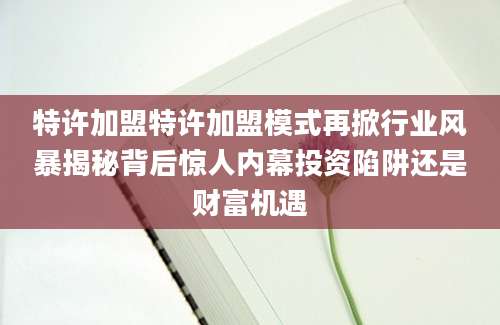 特许加盟特许加盟模式再掀行业风暴揭秘背后惊人内幕投资陷阱还是财富机遇