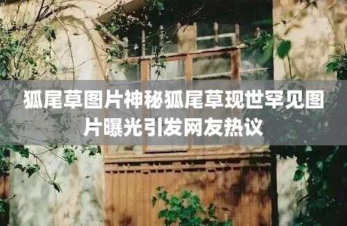 狐尾草图片神秘狐尾草现世罕见图片曝光引发网友热议