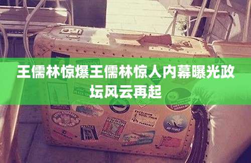 王儒林惊爆王儒林惊人内幕曝光政坛风云再起