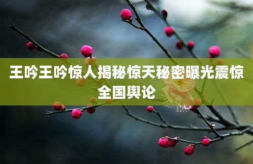 王吟王吟惊人揭秘惊天秘密曝光震惊全国舆论