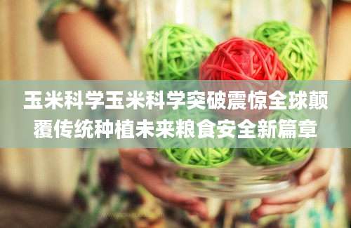 玉米科学玉米科学突破震惊全球颠覆传统种植未来粮食安全新篇章