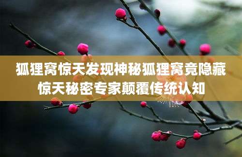 狐狸窝惊天发现神秘狐狸窝竟隐藏惊天秘密专家颠覆传统认知