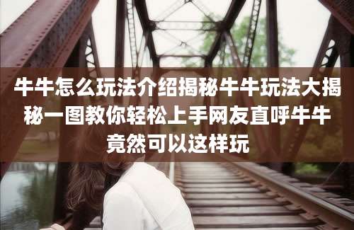 牛牛怎么玩法介绍揭秘牛牛玩法大揭秘一图教你轻松上手网友直呼牛牛竟然可以这样玩
