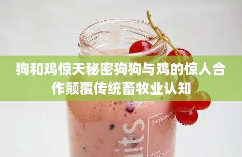 狗和鸡惊天秘密狗狗与鸡的惊人合作颠覆传统畜牧业认知