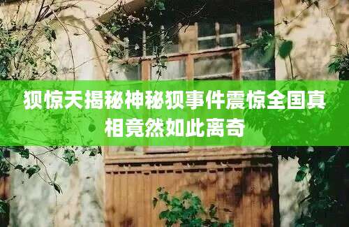 狈惊天揭秘神秘狈事件震惊全国真相竟然如此离奇