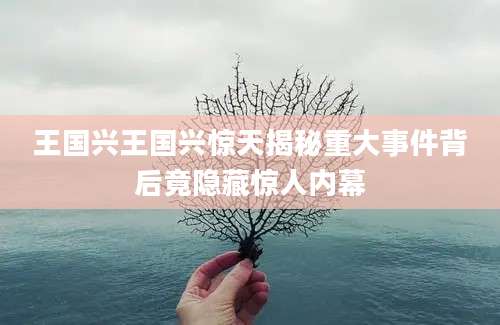 王国兴王国兴惊天揭秘重大事件背后竟隐藏惊人内幕
