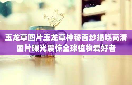 玉龙草图片玉龙草神秘面纱揭晓高清图片曝光震惊全球植物爱好者