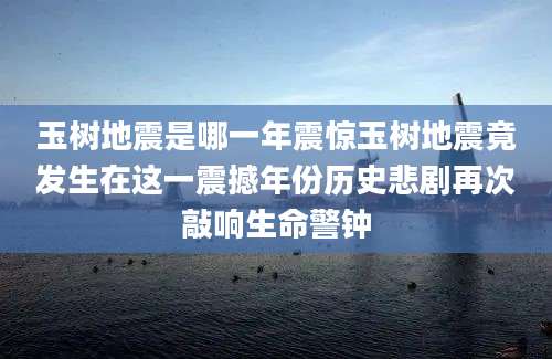 玉树地震是哪一年震惊玉树地震竟发生在这一震撼年份历史悲剧再次敲响生命警钟
