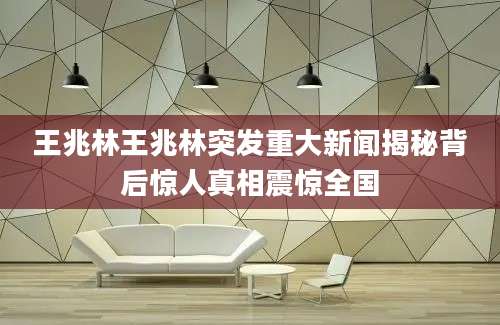 王兆林王兆林突发重大新闻揭秘背后惊人真相震惊全国