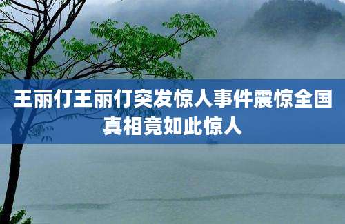 王丽仃王丽仃突发惊人事件震惊全国真相竟如此惊人