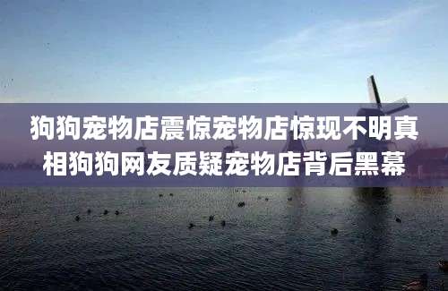 狗狗宠物店震惊宠物店惊现不明真相狗狗网友质疑宠物店背后黑幕