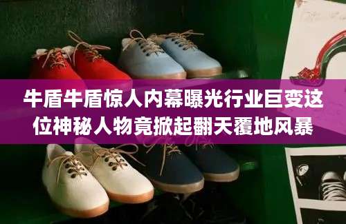 牛盾牛盾惊人内幕曝光行业巨变这位神秘人物竟掀起翻天覆地风暴