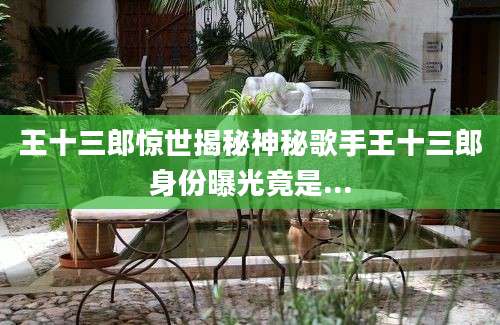 王十三郎惊世揭秘神秘歌手王十三郎身份曝光竟是...