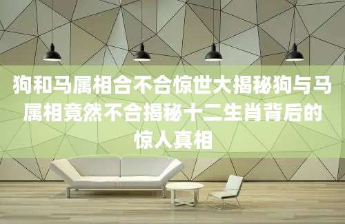 狗和马属相合不合惊世大揭秘狗与马属相竟然不合揭秘十二生肖背后的惊人真相