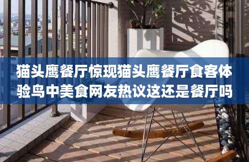 猫头鹰餐厅惊现猫头鹰餐厅食客体验鸟中美食网友热议这还是餐厅吗