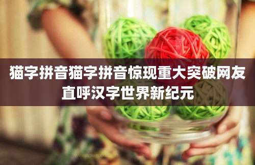 猫字拼音猫字拼音惊现重大突破网友直呼汉字世界新纪元