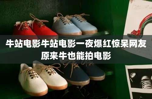 牛站电影牛站电影一夜爆红惊呆网友原来牛也能拍电影