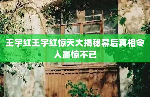 王宇红王宇红惊天大揭秘幕后真相令人震惊不已