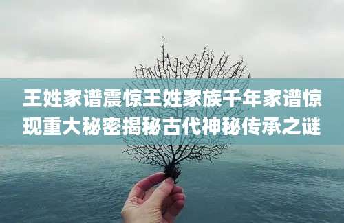 王姓家谱震惊王姓家族千年家谱惊现重大秘密揭秘古代神秘传承之谜