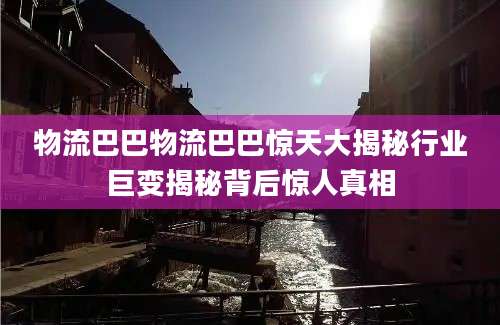 物流巴巴物流巴巴惊天大揭秘行业巨变揭秘背后惊人真相