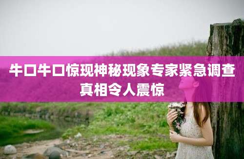 牛口牛口惊现神秘现象专家紧急调查真相令人震惊