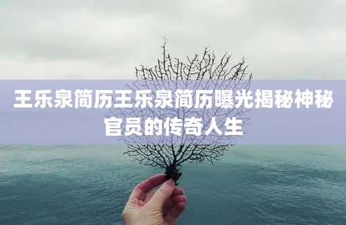 王乐泉简历王乐泉简历曝光揭秘神秘官员的传奇人生