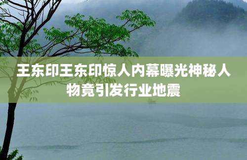 王东印王东印惊人内幕曝光神秘人物竟引发行业地震