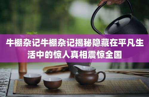 牛棚杂记牛棚杂记揭秘隐藏在平凡生活中的惊人真相震惊全国