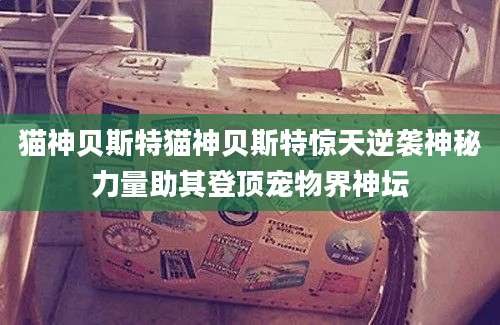 猫神贝斯特猫神贝斯特惊天逆袭神秘力量助其登顶宠物界神坛