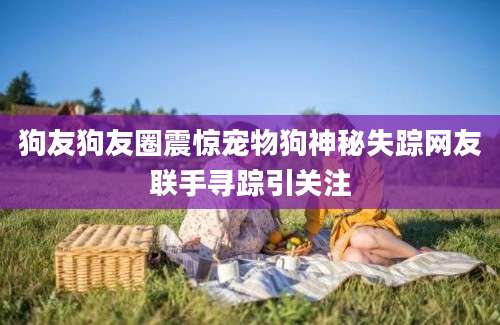 狗友狗友圈震惊宠物狗神秘失踪网友联手寻踪引关注