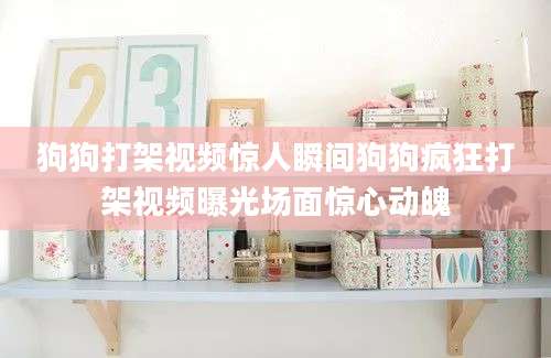 狗狗打架视频惊人瞬间狗狗疯狂打架视频曝光场面惊心动魄