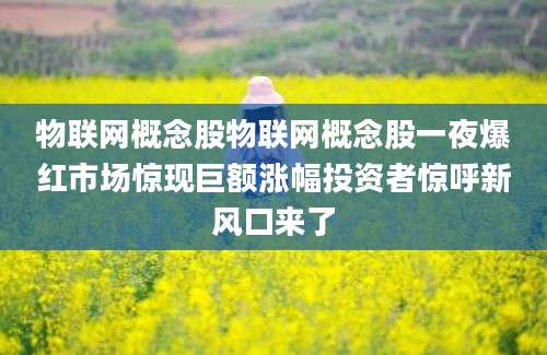 物联网概念股物联网概念股一夜爆红市场惊现巨额涨幅投资者惊呼新风口来了