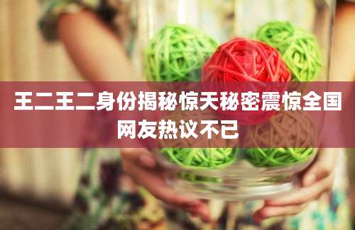 王二王二身份揭秘惊天秘密震惊全国网友热议不已