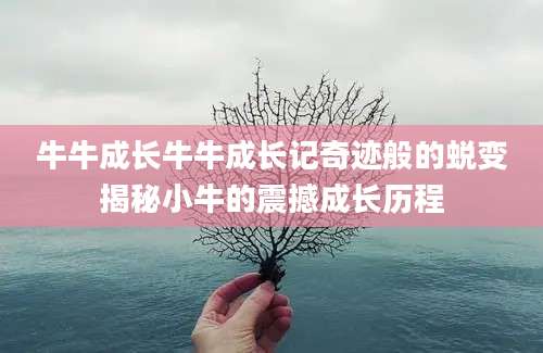 牛牛成长牛牛成长记奇迹般的蜕变揭秘小牛的震撼成长历程