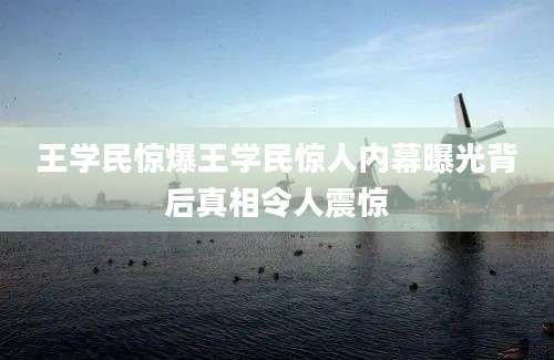 王学民惊爆王学民惊人内幕曝光背后真相令人震惊