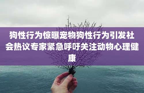 狗性行为惊曝宠物狗性行为引发社会热议专家紧急呼吁关注动物心理健康