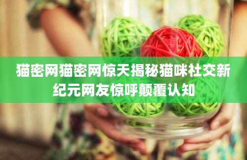 猫密网猫密网惊天揭秘猫咪社交新纪元网友惊呼颠覆认知