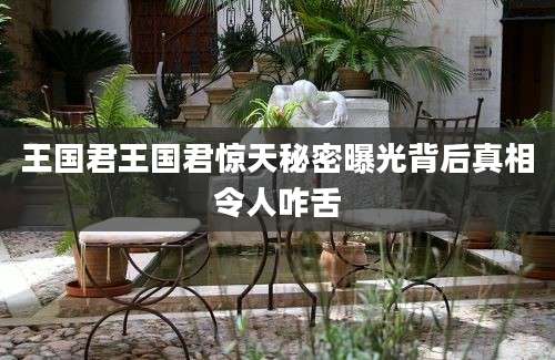 王国君王国君惊天秘密曝光背后真相令人咋舌