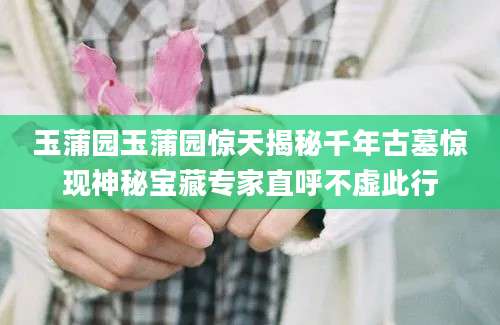 玉蒲园玉蒲园惊天揭秘千年古墓惊现神秘宝藏专家直呼不虚此行