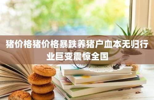 猪价格猪价格暴跌养猪户血本无归行业巨变震惊全国