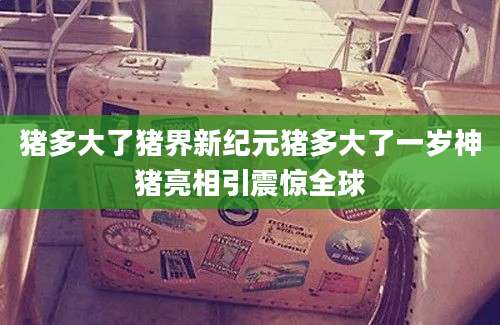 猪多大了猪界新纪元猪多大了一岁神猪亮相引震惊全球