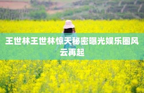 王世林王世林惊天秘密曝光娱乐圈风云再起